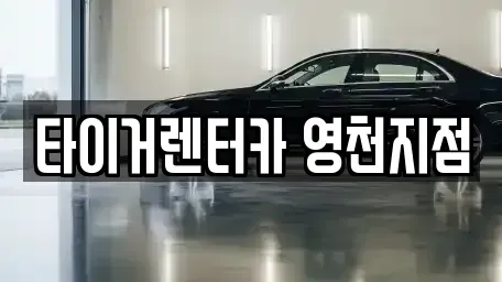 경상북도 영천시 성내동 렌트카 전문 타이거렌터카 영천지점
