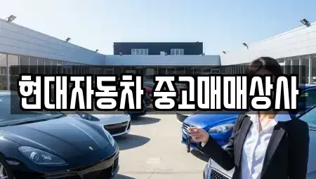경상북도 영천시 성내동 중고차 전문 현대자동차 중고매매상사