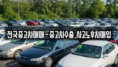 경상북도 영천시 성내동 중고차매입 전문 전국중고차매매-중고차수출,사고노후차매입