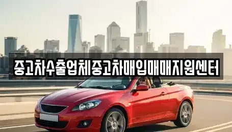 경상북도 영천시 성내동 중고차매입 전문 중고차수출업체중고차매입매매지원센터