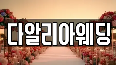 다알리아웨딩
