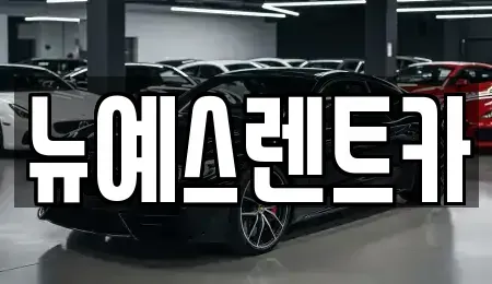 대구 달성군 하빈면 렌트카 전문 뉴예스렌트카