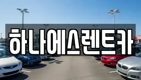 대구 달성군 하빈면 렌트카 전문 하나에스렌트카