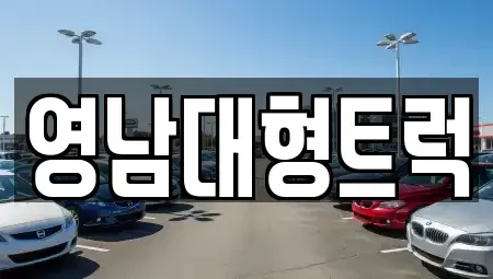 대구 달성군 하빈면 중고차매매 전문 영남대형트럭