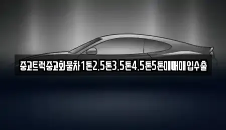 대구 달성군 하빈면 중고차매매 전문 중고트럭중고화물차1톤2.5톤3.5톤4.5톤5톤매매매입수출