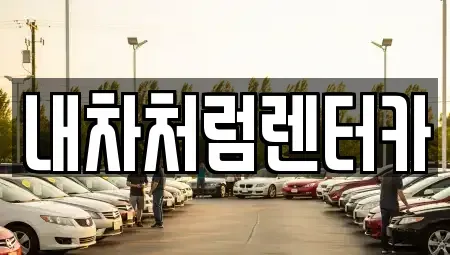 대구 북구 고성동2가 렌트카 전문 내차처럼렌터카