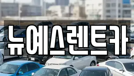 대구 북구 고성동2가 렌트카 전문 뉴예스렌트카
