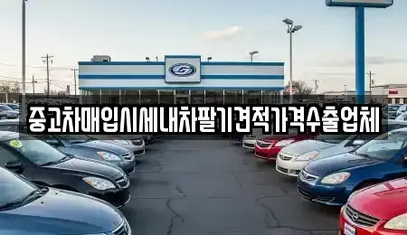 대구 북구 고성동2가 중고차매입 전문 중고차매입시세내차팔기견적가격수출업체