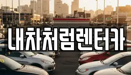 대구 수성구 대흥동 렌트카 전문 내차처럼렌터카