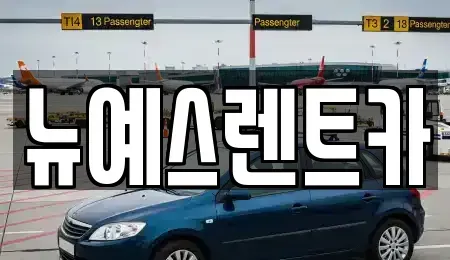 대구 수성구 대흥동 렌트카 전문 뉴예스렌트카