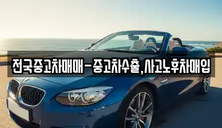 대구 수성구 대흥동 중고차매입 전문 전국중고차매매-중고차수출,사고노후차매입