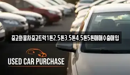 대구 수성구 대흥동 중고차매입 전문 중고화물차중고트럭1톤2.5톤3.5톤4.5톤5톤매매수출매입