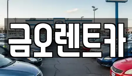대구광역시 중구 서성로1가 렌트카 전문 금오렌트카
