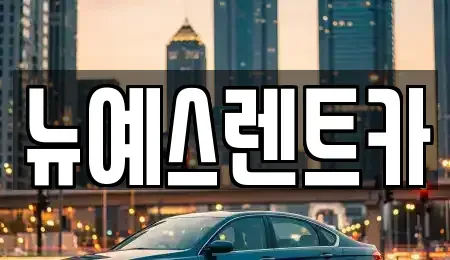 대구광역시 중구 서성로1가 렌트카,단기렌트카,장기렌트카,중고차,중고차매매,중고차매입