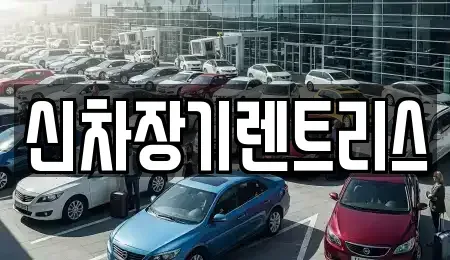 대구광역시 중구 서성로1가 렌트카 전문 신차장기렌트리스