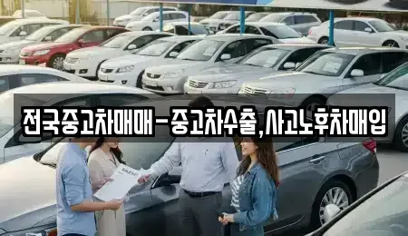 대구광역시 중구 서성로1가 중고차 전문 전국중고차매매-중고차수출,사고노후차매입