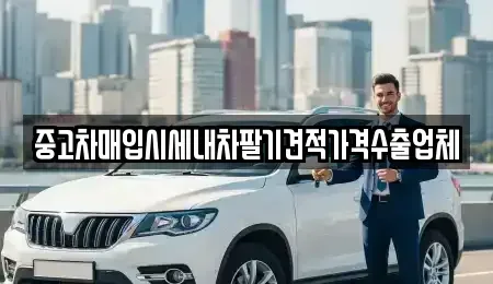 대구광역시 중구 서성로1가 중고차 전문 중고차매입시세내차팔기견적가격수출업체