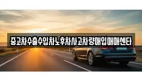 대구광역시 중구 서성로1가 중고차매매 전문 중고차수출수입차노후차사고차량매입매매센타