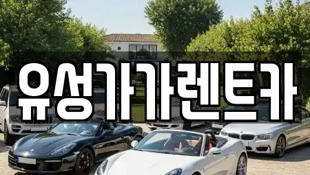 대전 유성구 가정동 렌트카 전문 유성가가렌트카