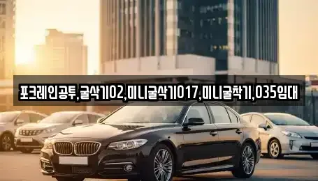 대전 유성구 가정동 중고차매입 전문 포크레인공투,굴삭기02,미니굴삭기017,미니굴착기,035임대