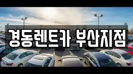 부산광역시 기장군 단기렌트카 전문 경동렌트카 부산지점
