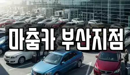 부산광역시 기장군 장기렌트카 전문 마춤카 부산지점