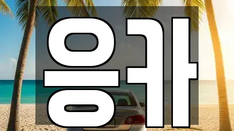부산광역시 기장군 장기렌트카 전문 응카
