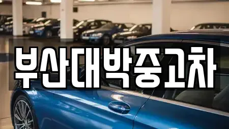 부산광역시 기장군 중고차 전문 부산대박중고차