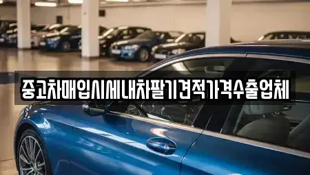 부산광역시 기장군 중고차매입 전문 중고차매입시세내차팔기견적가격수출업체