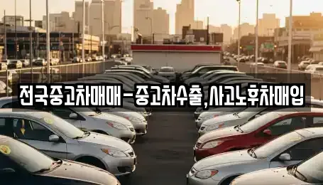 부산광역시 중구 창선동1가 장기렌트카,중고차,렌트카,단기렌트카,중고차매입,중고차매매