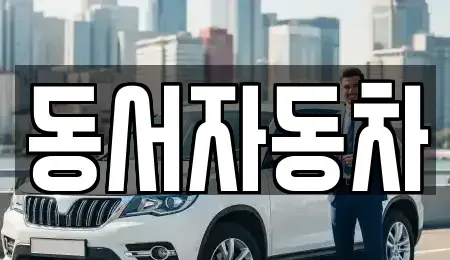 부산광역시 중구 창선동1가 중고차매매 전문 동서자동차