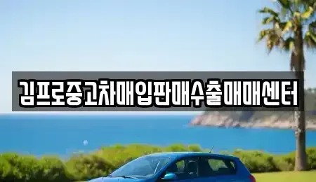 부산광역시 중구 창선동1가 중고차매입 전문 김프로중고차매입판매수출매매센터