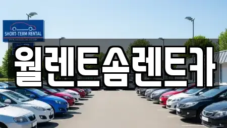 서울 성동구 금호동1가 렌트카 전문 월렌트솜렌트카