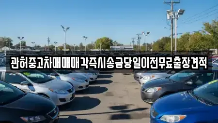 서울 성동구 금호동1가 중고차 전문 관허중고차매매매각즉시송금당일이전무료출장견적