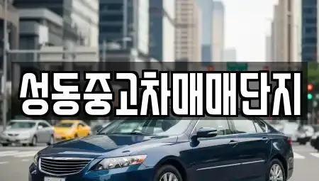 서울 성동구 금호동1가 중고차 전문 성동중고차매매단지