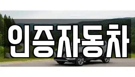 서울 성동구 금호동1가 중고차 전문 인증자동차