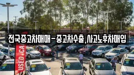 서울 성동구 금호동1가 중고차매입 전문 전국중고차매매-중고차수출,사고노후차매입