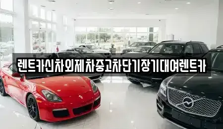 서울 중구 묵정동 단기렌트카 전문 렌트카신차외제차중고차단기장기대여렌트카