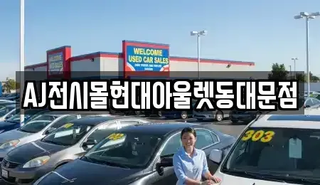 서울 중구 묵정동 렌트카 전문 AJ전시몰현대아울렛동대문점