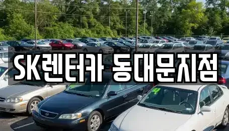 서울 중구 묵정동 렌트카,단기렌트카,장기렌트카,중고차,중고차매매,중고차매입