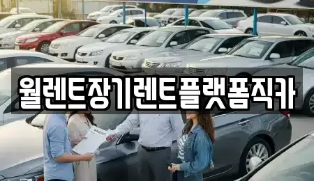 서울 중구 묵정동 장기렌트카 전문 월렌트장기렌트플랫폼직카
