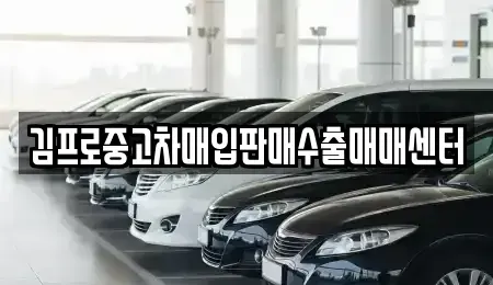 서울 중구 묵정동 중고차 전문 김프로중고차매입판매수출매매센터
