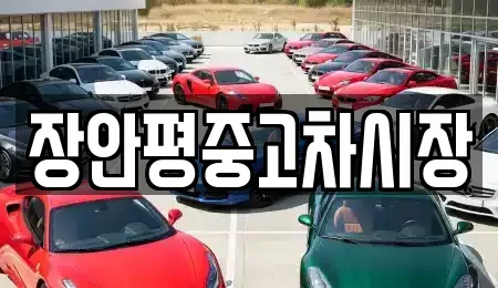 서울 중구 묵정동 중고차매매 전문 장안평중고차시장