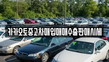 서울 중구 묵정동 중고차매입 전문 카카오토중고차매입매매수출판매시세
