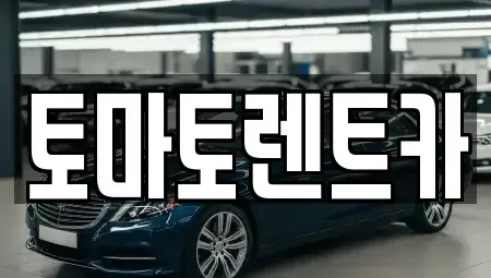 서울특별시 도봉구 쌍문동 렌트카 전문 토마토렌트카