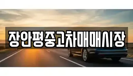 서울특별시 도봉구 쌍문동 중고차매매 전문 장안평중고차매매시장