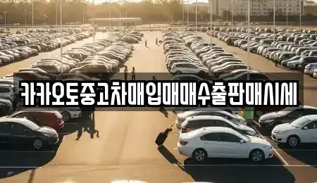 서울특별시 도봉구 쌍문동 중고차매입 전문 카카오토중고차매입매매수출판매시세