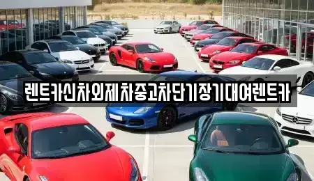 서울특별시 중구 을지로5가 단기렌트카 전문 렌트카신차외제차중고차단기장기대여렌트카