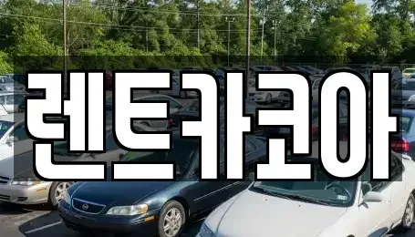 서울특별시 중구 을지로5가 렌트카 전문 렌트카코아
