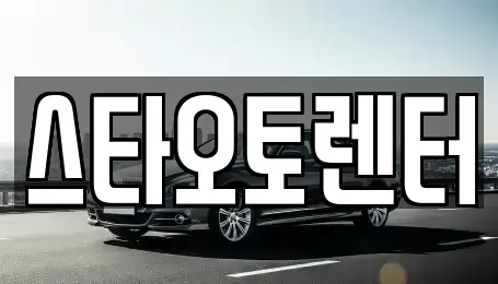서울특별시 중구 을지로5가 렌트카 전문 스타오토렌터